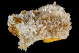 Hemimorphite Crystal Cluster - Chihuahua, Mexico #103843-1